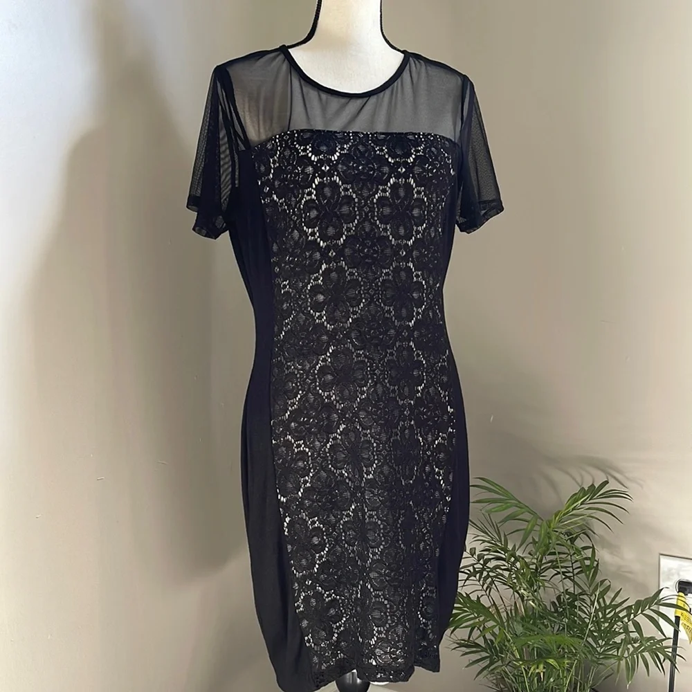 Julienne W   Sheer and Lacy Little Black Dress   Short Sleeves XL